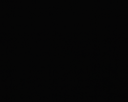 Born Without a Presale, Built Without Permission